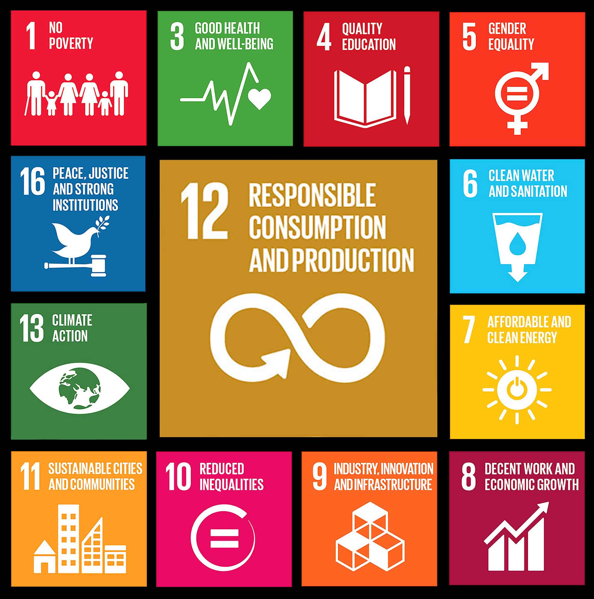 Sustainability, a key element of SDG #12, is integral to making progress in many other goals that affect all our lives.